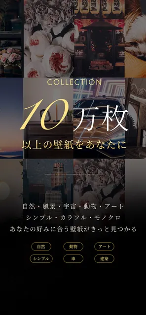 綺麗な壁紙 4K/HDR — スクリーンショット 5