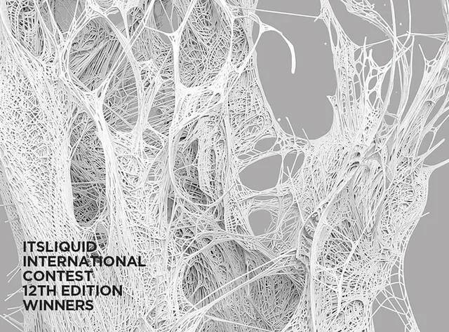 ITSLIQUID International Contest - 12th Edition