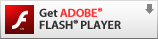 Adobe® Flash® Player のダウンロード