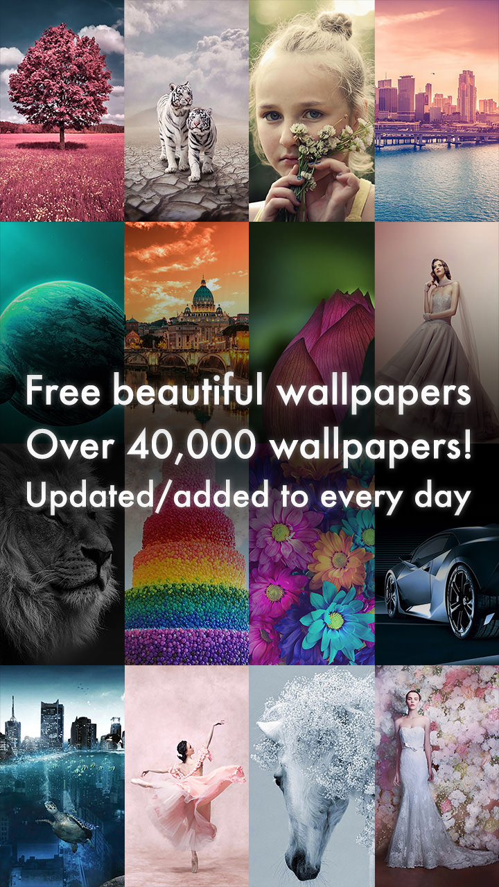 Beautiful HD Wallpapers 4K/HDR - Android app | Dolice