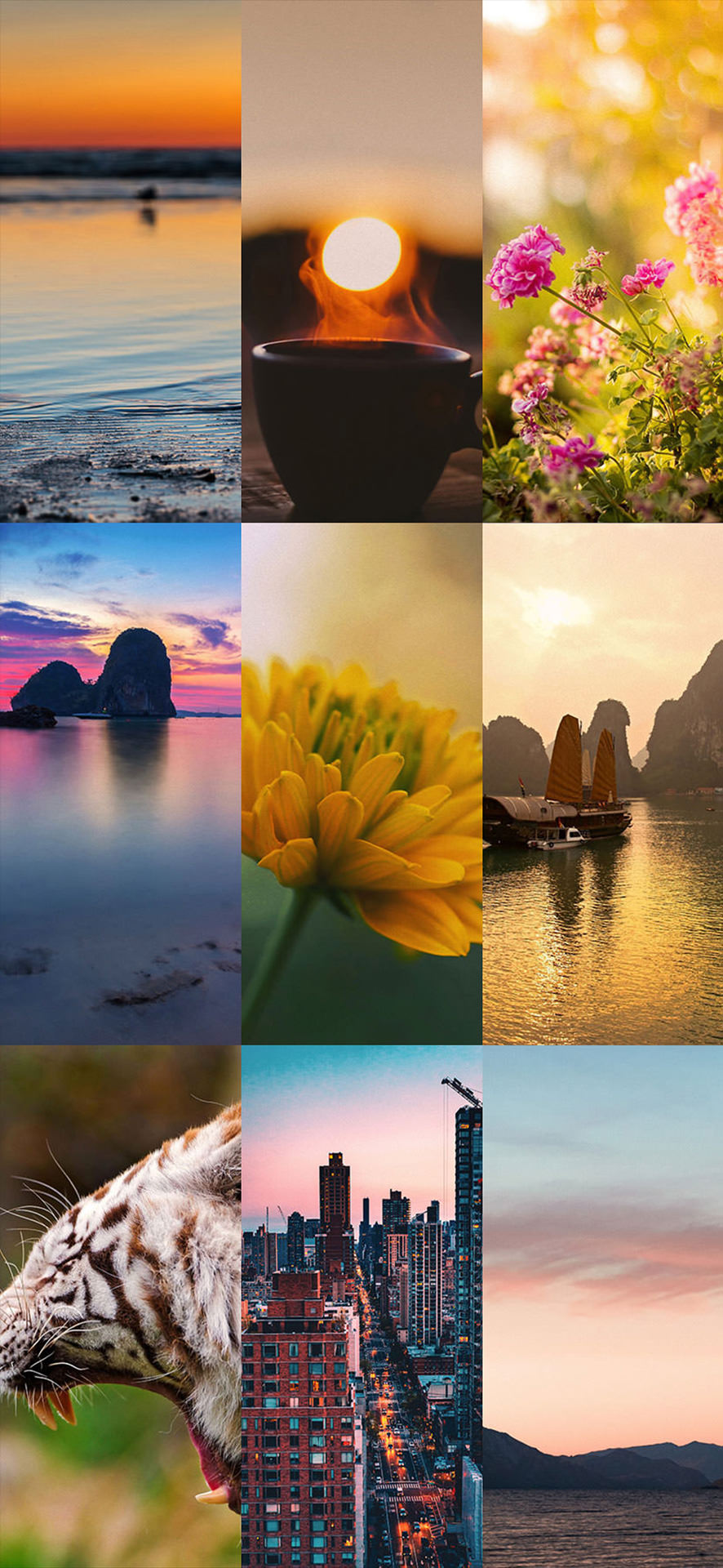 Beautiful HD Wallpapers 4K/HDR - iPhone/Mac app | Dolice